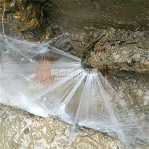 建湖消防管道漏水检测